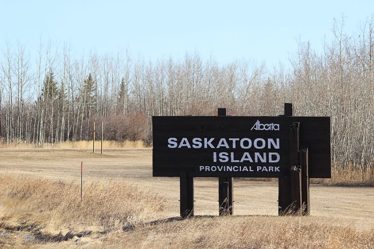 Province provides provisions to Saskatoon Island Provincial Park Town & Country News